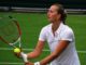 Petra Kvitova v Jasmine Paolini Live Streaming, Prediction