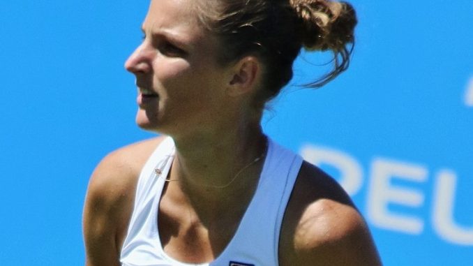 Karolína Plíšková v Tereza Martincova live streaming, predictions WTA Berlin 2022