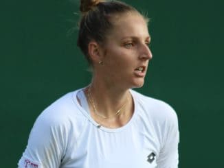 Karolina Pliskova v Anhelina Kalinina Predictions, Preview & Tips