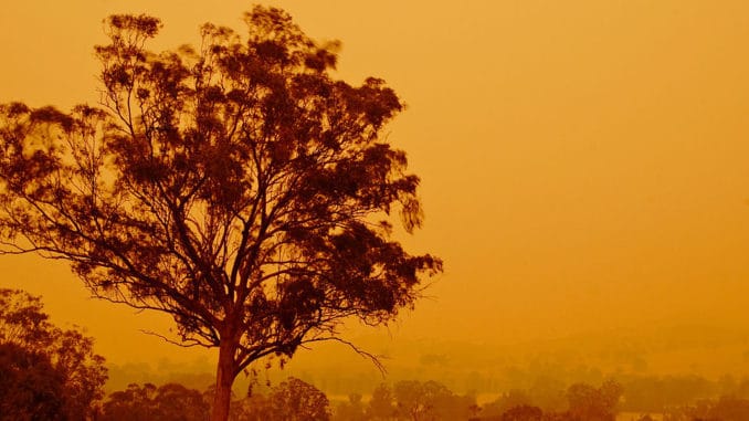 Bushfire effect on Australian Open