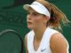 Varvara Gracheva v Anna-Lena Friedsam Predictions, Preview & Betting Tips