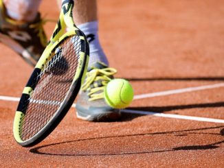 Dino Prizmic v Zsombor Piros predictions and tips