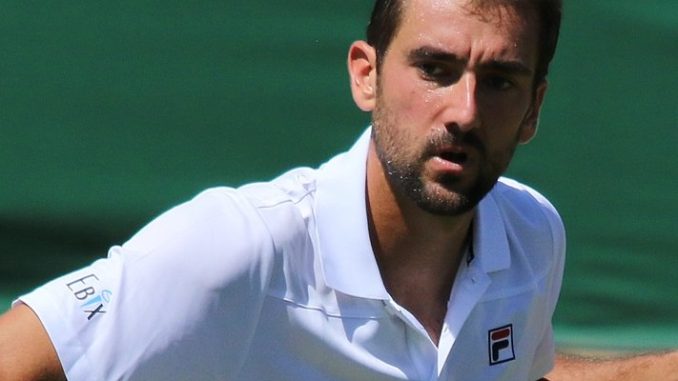 Marin Cilic v Roberto Carballes-Baena Live Streaming, Prediction